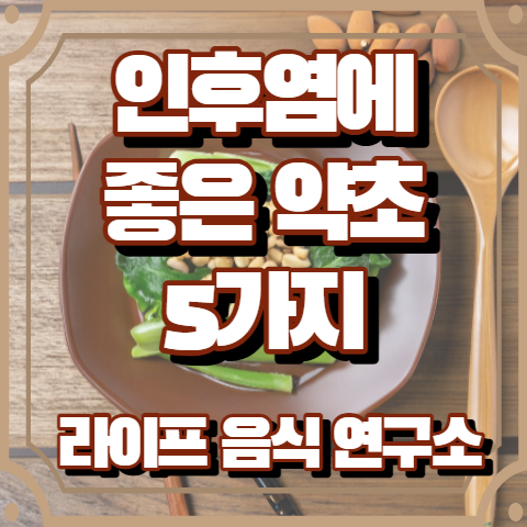 인후염에 좋은 약초 5가지