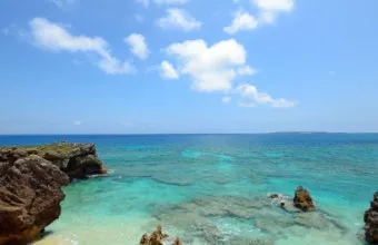 오키나와 국제거리 돈키호테에서 구매 가능한 술 종류 소개_13