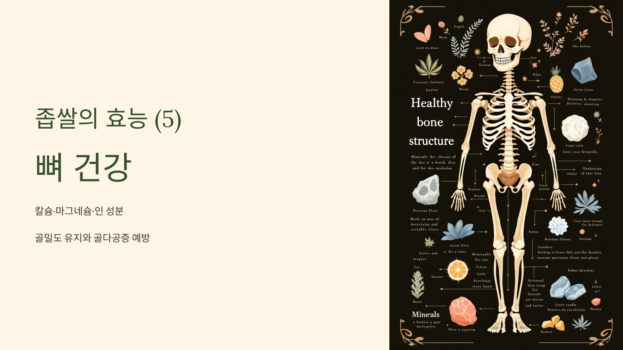 좁쌀 사진입니다.