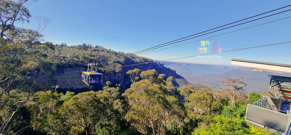 시드니 근교 블루마운틴 투어 가격 솔직 후기 + 시드니 동물원 일일투어