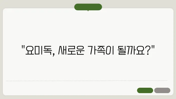 의정부강아지무료분양 요미독