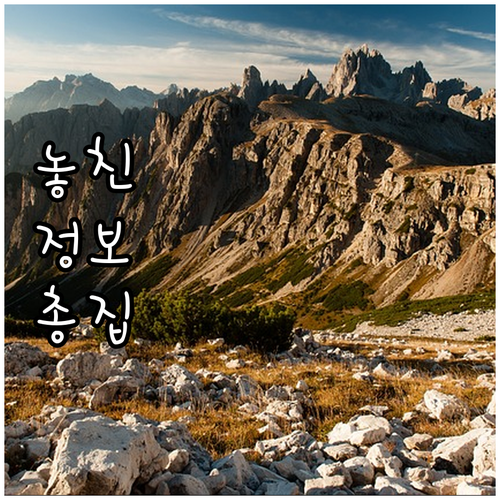 현대카드 챗봇으로 카드 문제 해결 운..