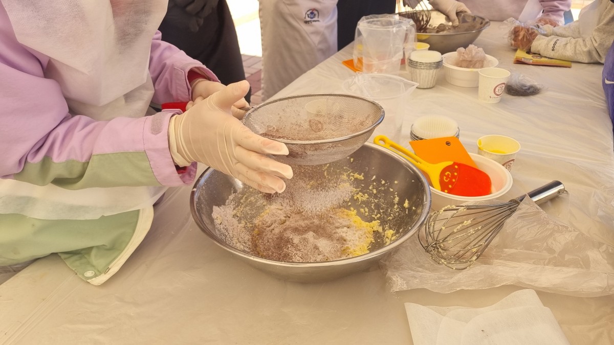 체험행사