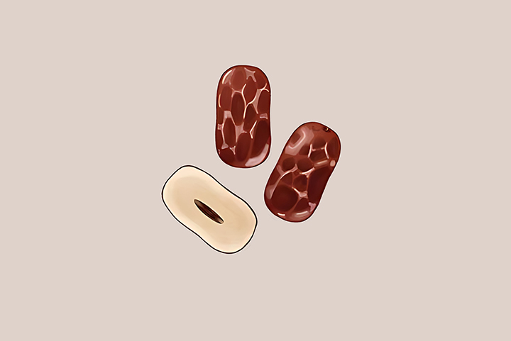 대추-하루-섭취-권장량