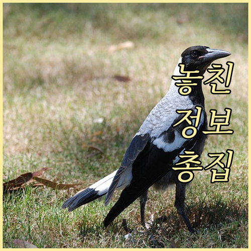 신세계상품권 60%만 써도 현금! 이..