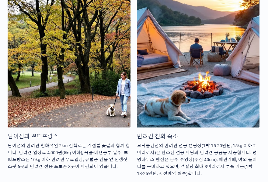 남이섬과 쁘띠 프랑스 반려견 친화숙소