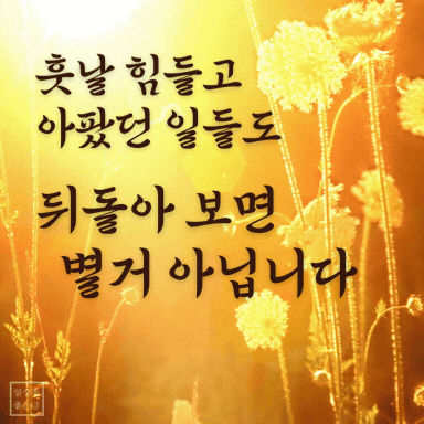 노란 꽃과 햇살 배경에 위로되는 글귀 이미지