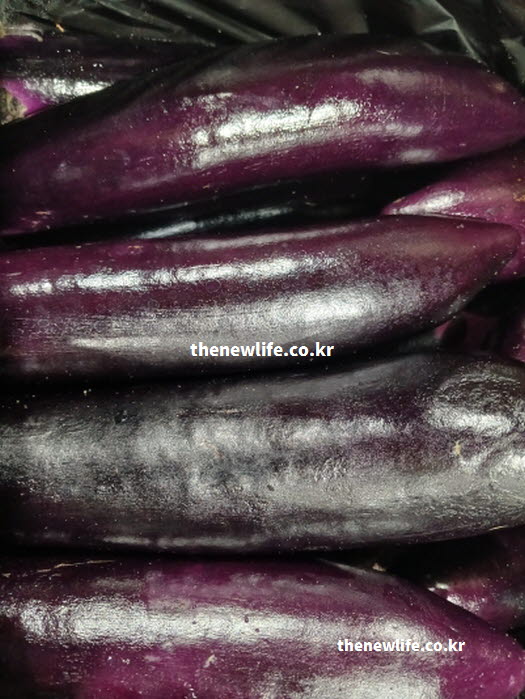 식단 구성 시 비중을 높여 인슐린 저항성을 개선하는 GI 당지수 낮은 음식 가지 실물