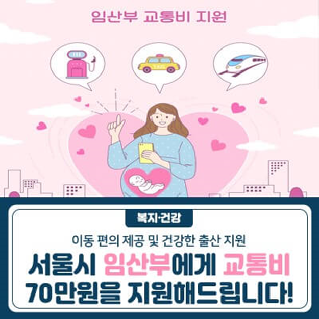 서울시 임산부 교통비 지원