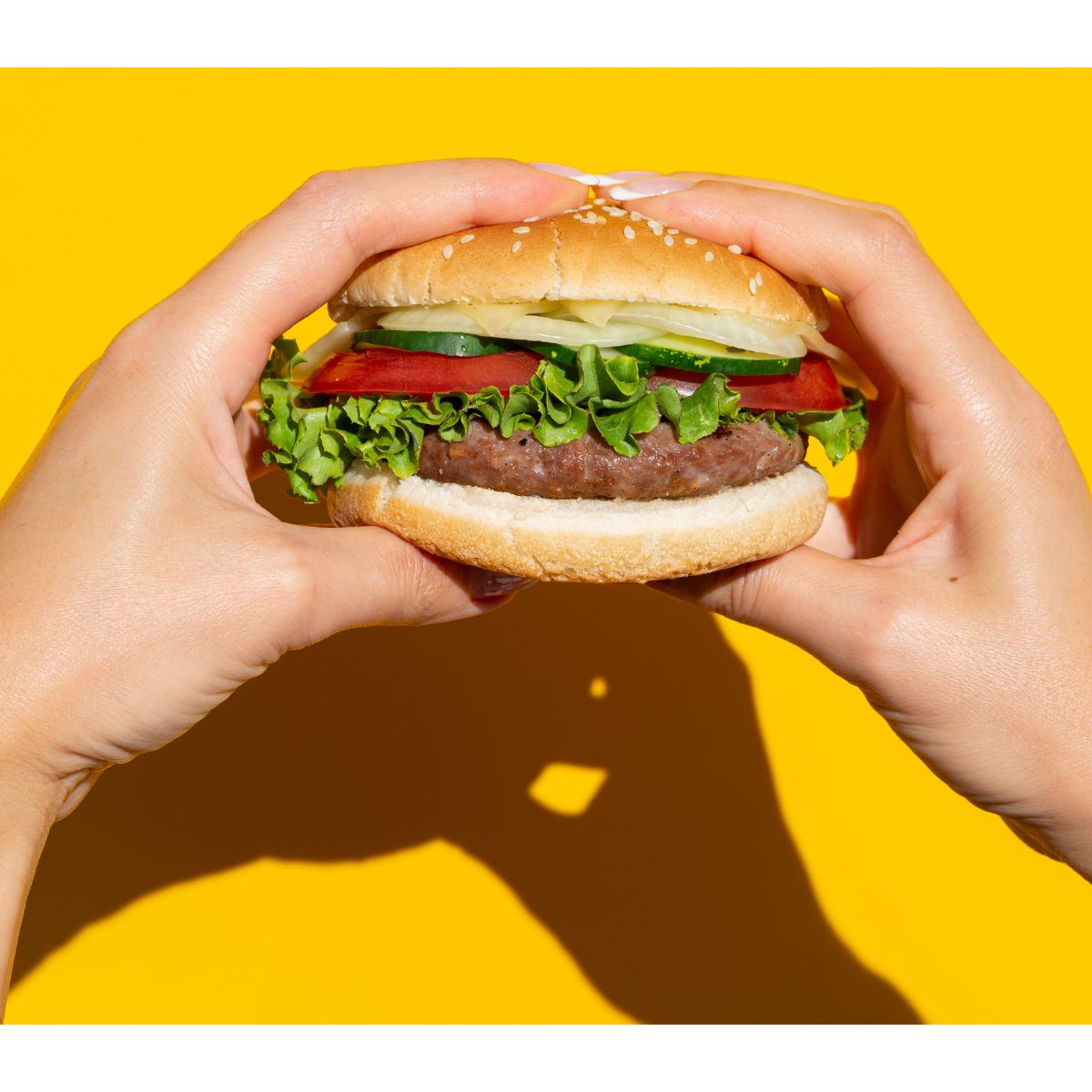 햄버거-이미지-1