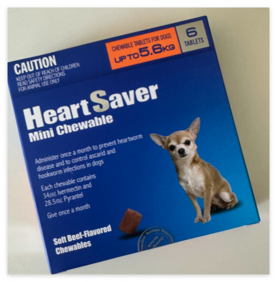 넥스가드-추천-강아지-하트세이버-추천-강아지