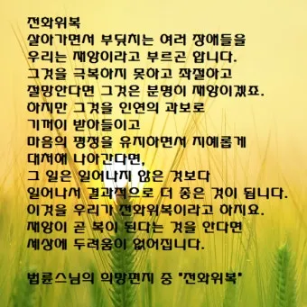 전화위복 뜻 유래 한자 비슷한 말 예문 영어 속담 반대말 정리_14