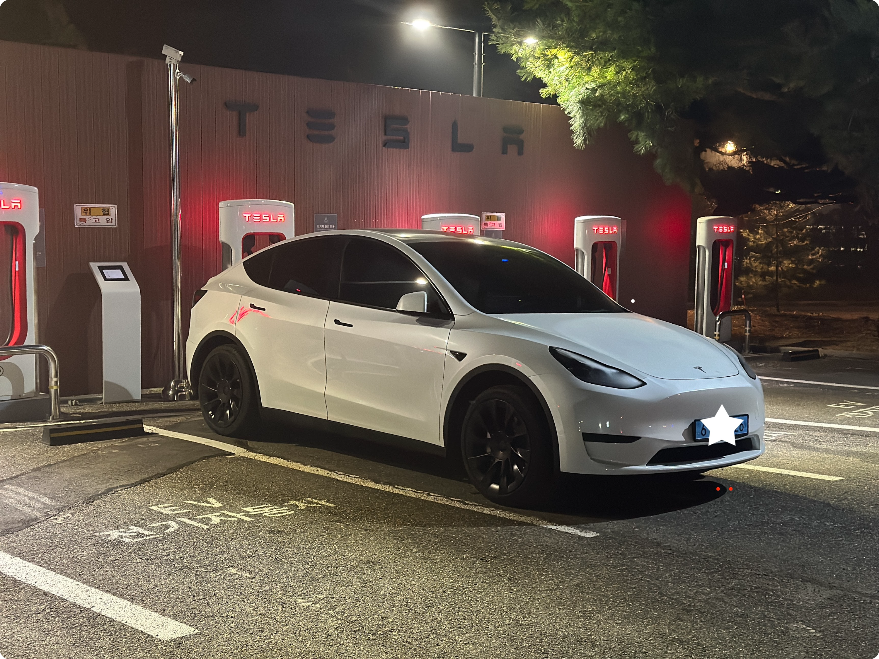 테슬라 모델y rwd