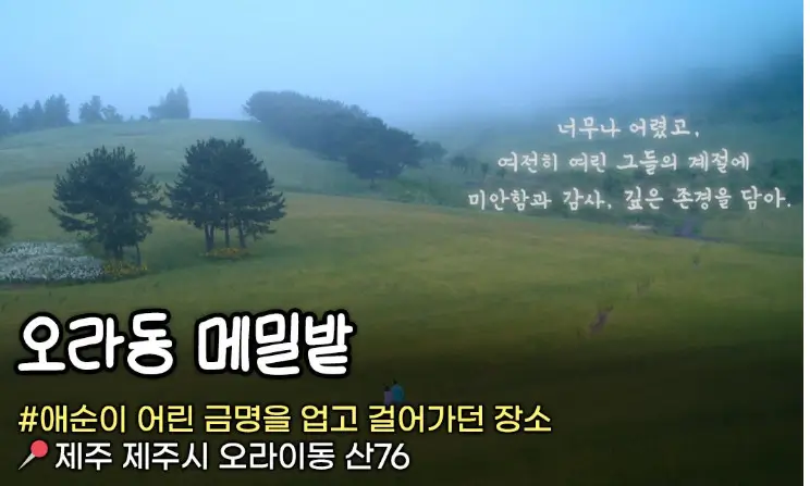 폭싹 속았수다 제주도 촬영지 2박 3일 여행코스 (2)