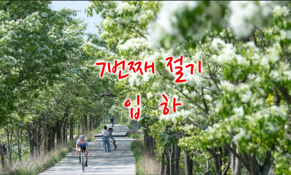 7번째 절기 입하