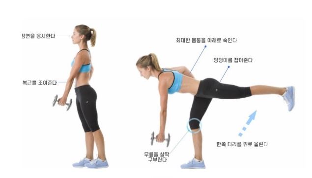 힙운동 애플힙 원레그 데드리프트 런지 리버스브이스쿼트