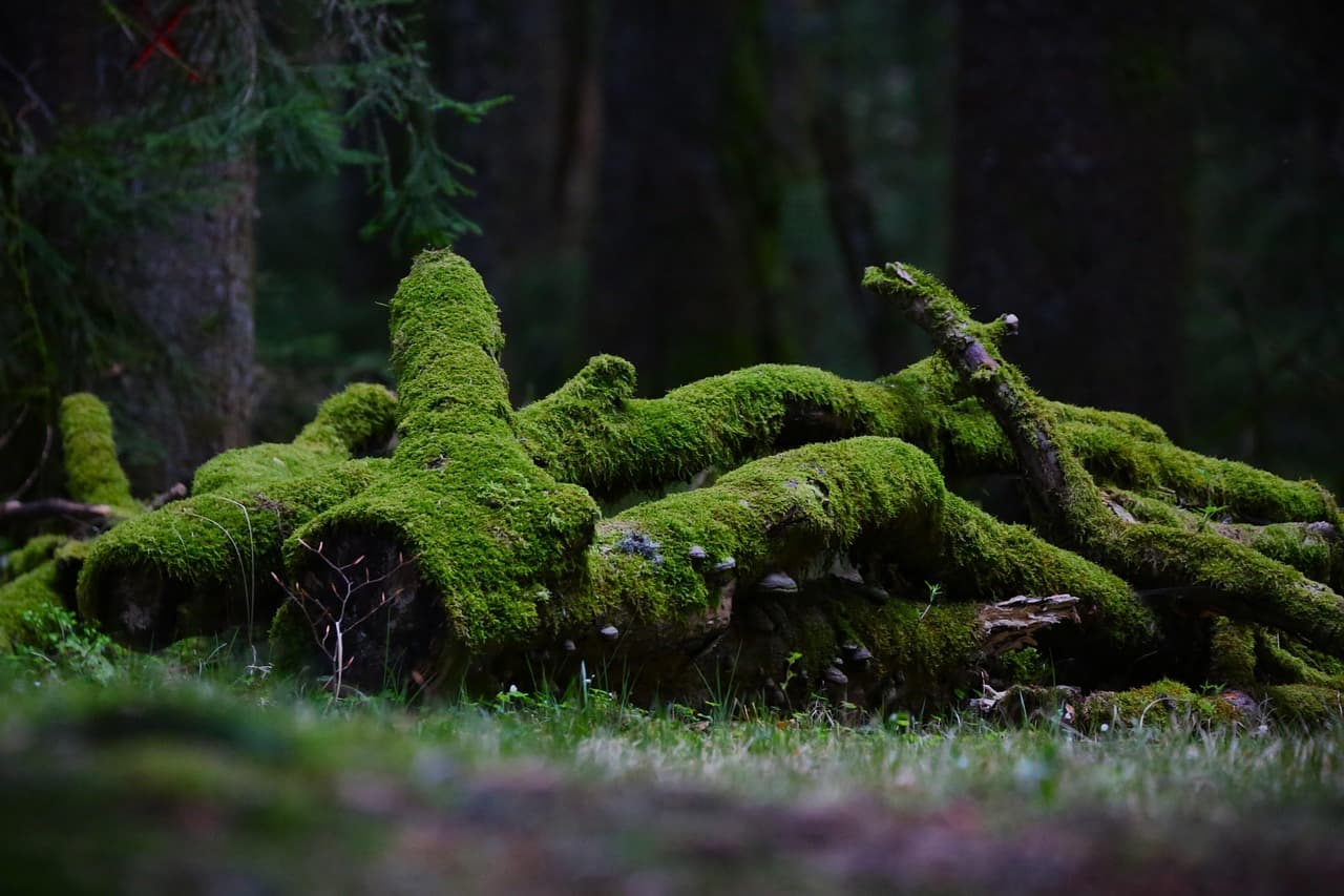 K-드라마 속 이혼 여성 캐릭터의 진화 &ndash; 약자가 아닌 &lsquo;서사의 주인공&rsquo;으로