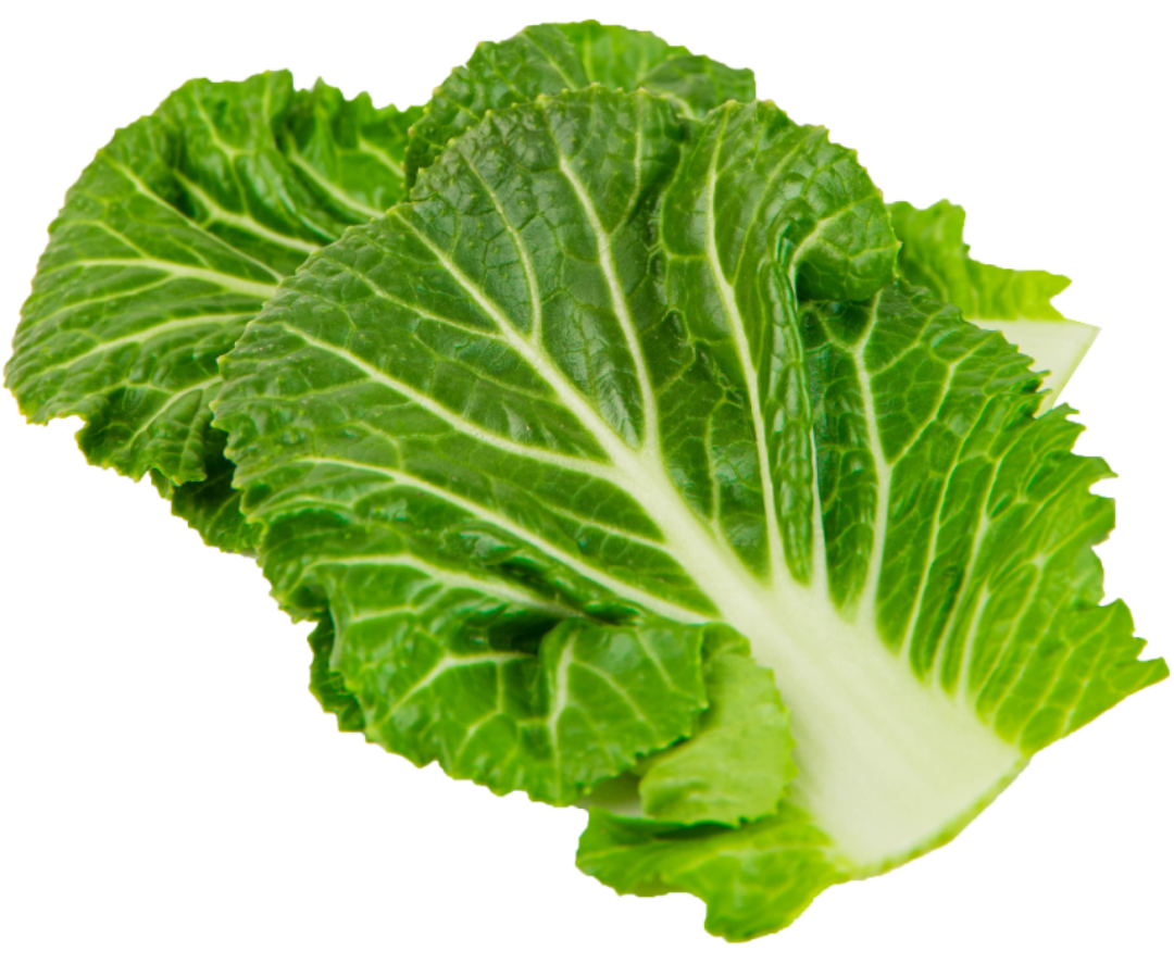 2월 제철음식 봄동 알아보기