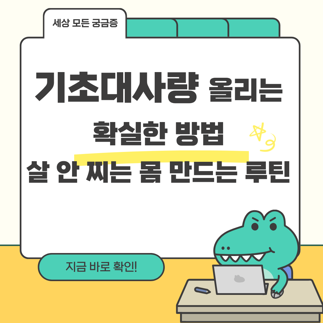 기초대사량 올리는 확실한 방법