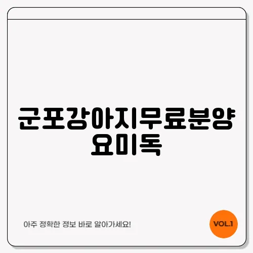 군포강아지무료분양 요미독