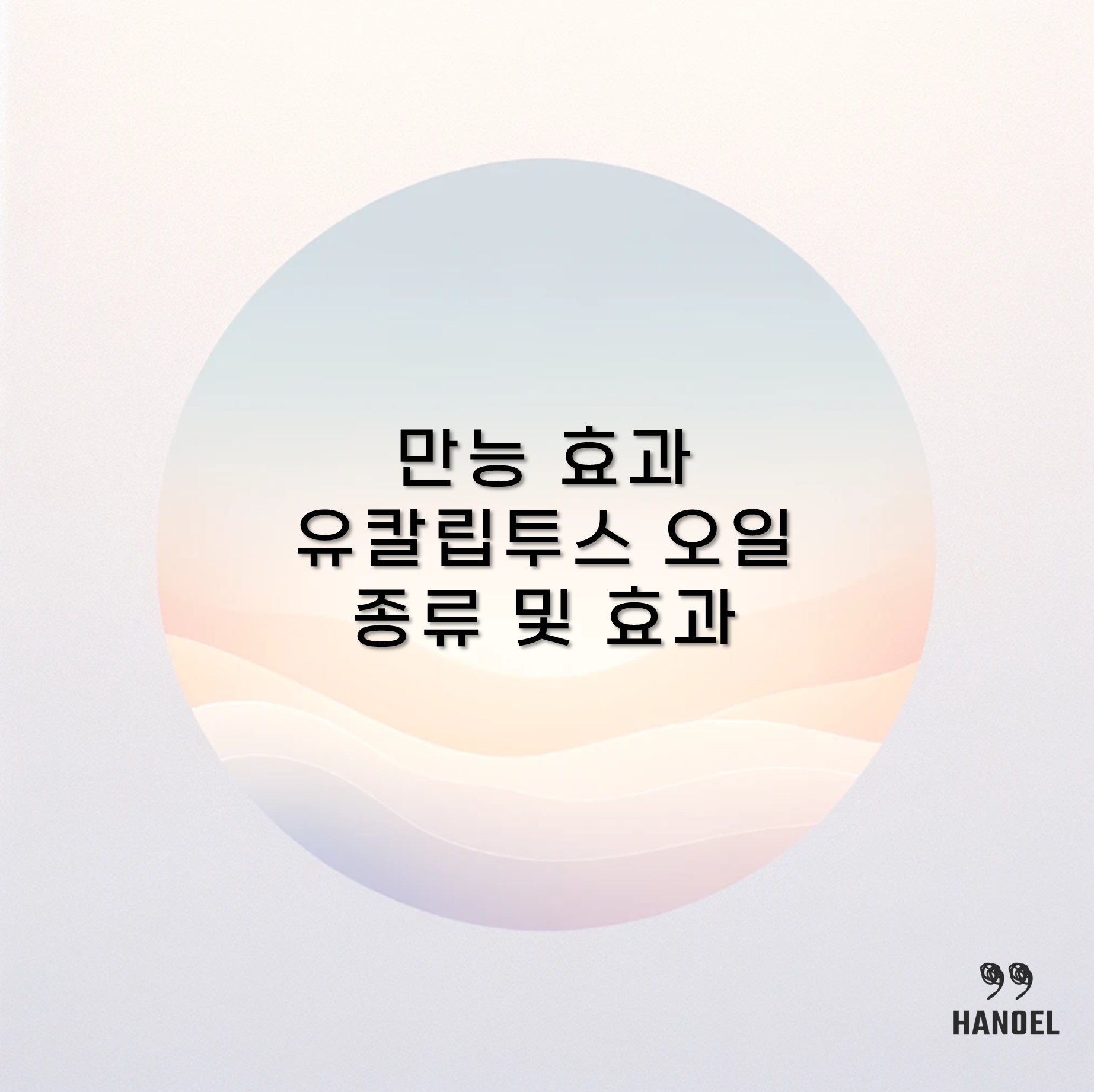 만능 효과 유칼립투스 오일 종류 및 효과
