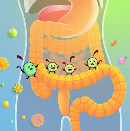 뉴티-365-뉴티락-효과-후기-가격-복용법