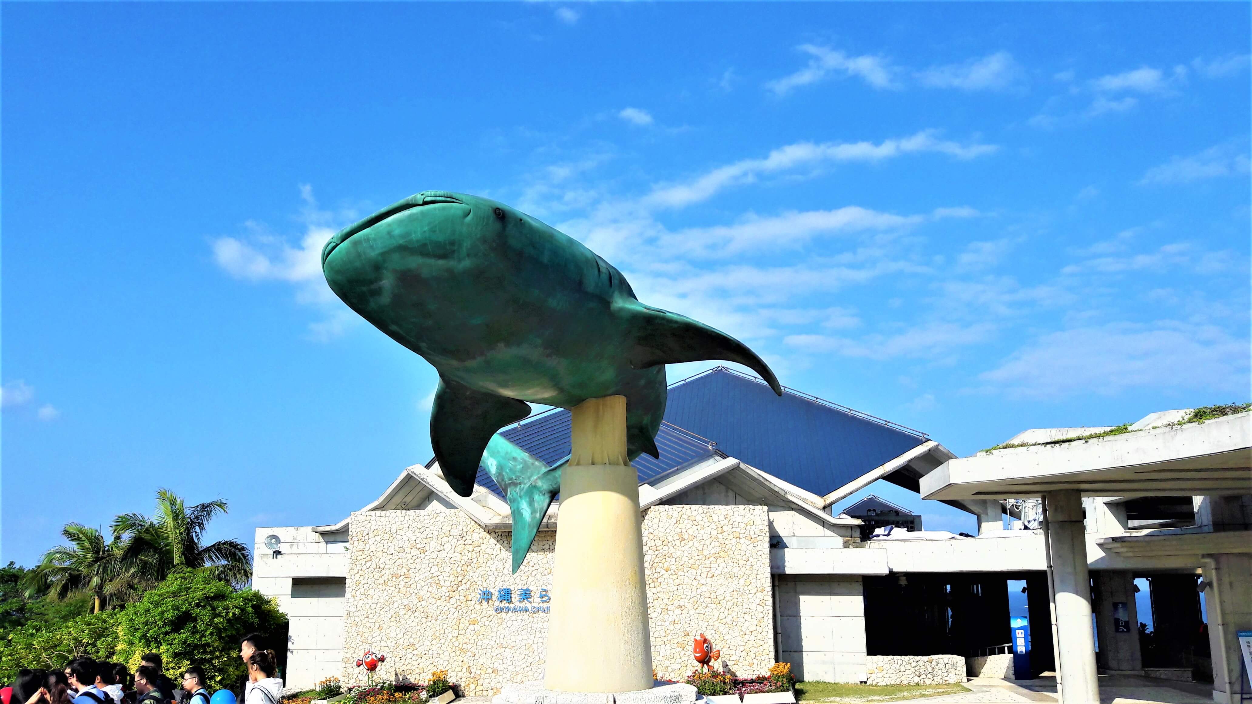 츄라우미 수족관