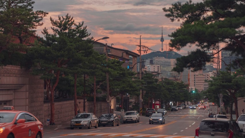 서울 인구