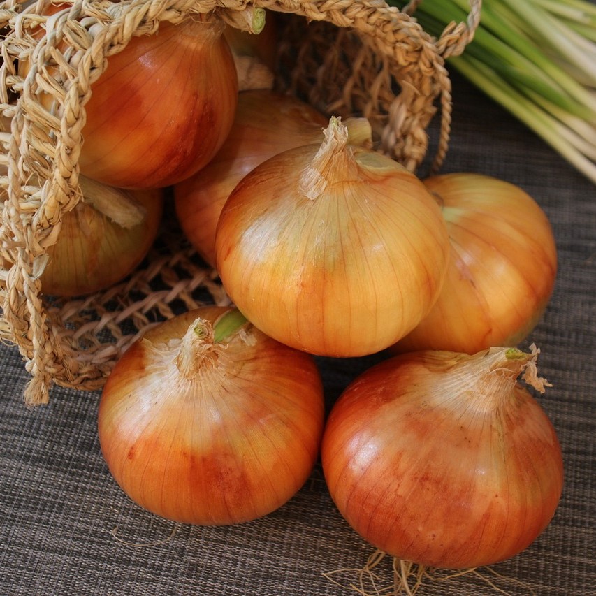 퀘르세틴(Quercetin) 소개하기 위한 퀘르세틴(Quercetin)이 풍부하게 함유되어 있다고 알려진 양파의 사진