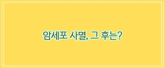 유방암 항암치료 과정