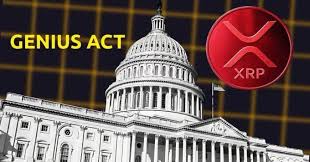 GENIUS Act 대응?