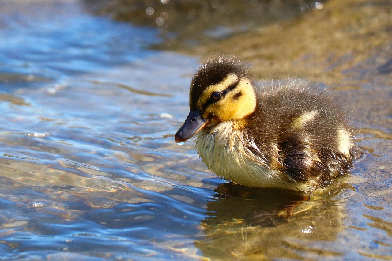 2025 실수령액 계산기