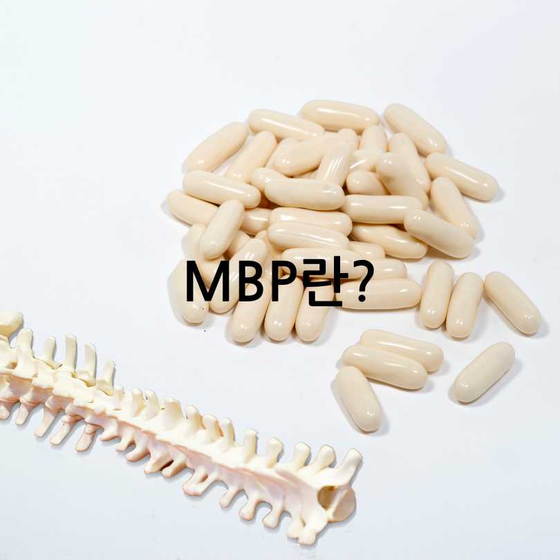 MBP의 효능&amp;#44; 부작용&amp;#44; 복용방법