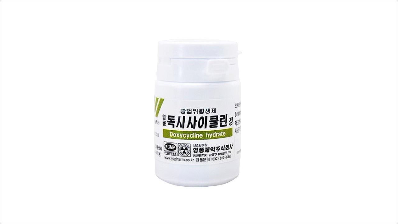 영풍 독시사이클린정 100mg