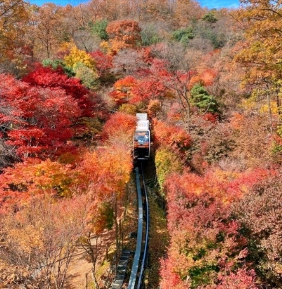 화담숲-모노레일