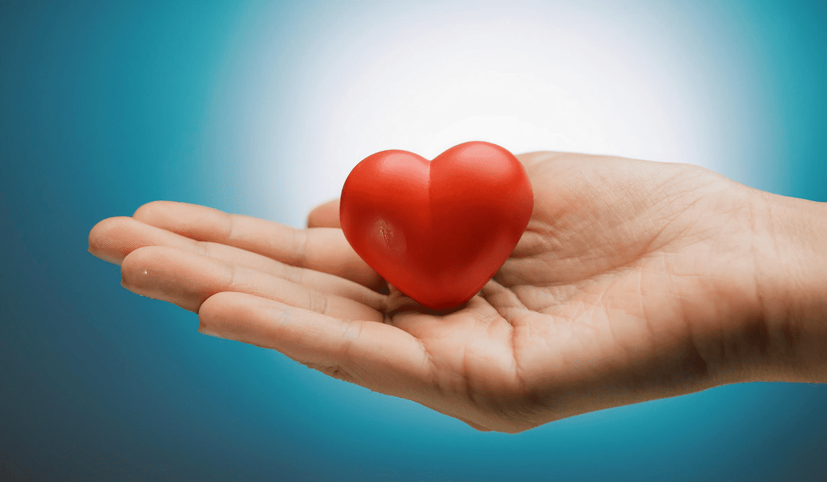 실선보험_추천_8