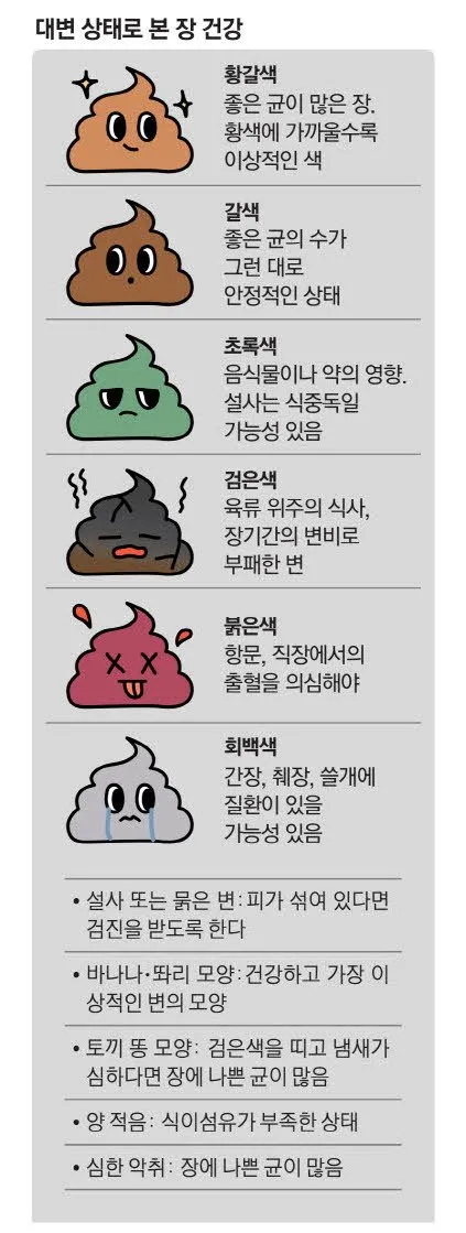 똥이 까만색 검정똥 원인과 질병 가능성_5