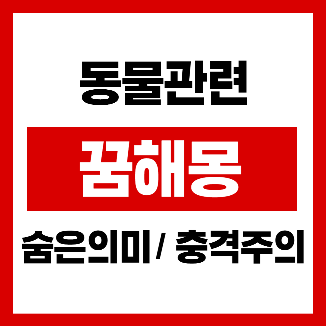 동물 꿈해몽 관련 이미지