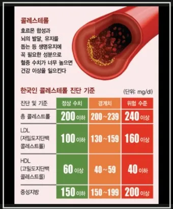 LDL 콜레스테롤 정상수치 낮추는법_4