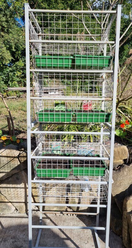 퇴직 후 일상, 정원 가꾸기