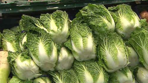 김장쓰레기 배출 방법 &ndash; 일반/음식물쓰레기로 구분해서 버리는 간단한 방법