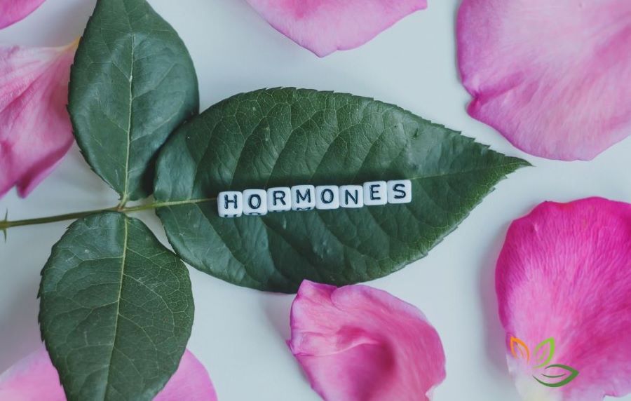 분홍색 꽃잎과 녹색 잎 위에 'HORMONES'라고 적힌 블록 글자, 중년기 호르몬 밸런스와 자연스러운 호르몬 관리를 상징하는 이미지 via canva