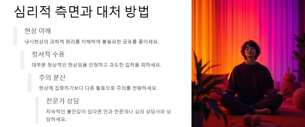 내시현상:비분증,블루필드내시현상,안내섬광,푸르킨예나무현상,하이딩거의 붓 원인,증상,완화관리법