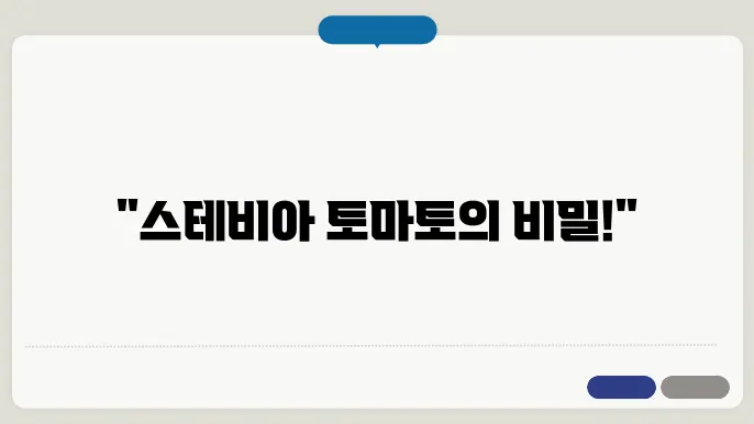 스테비아 토마토 모종