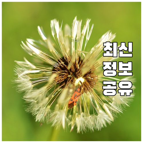 회기동 대형폐기물 처리 주민센터 방문..