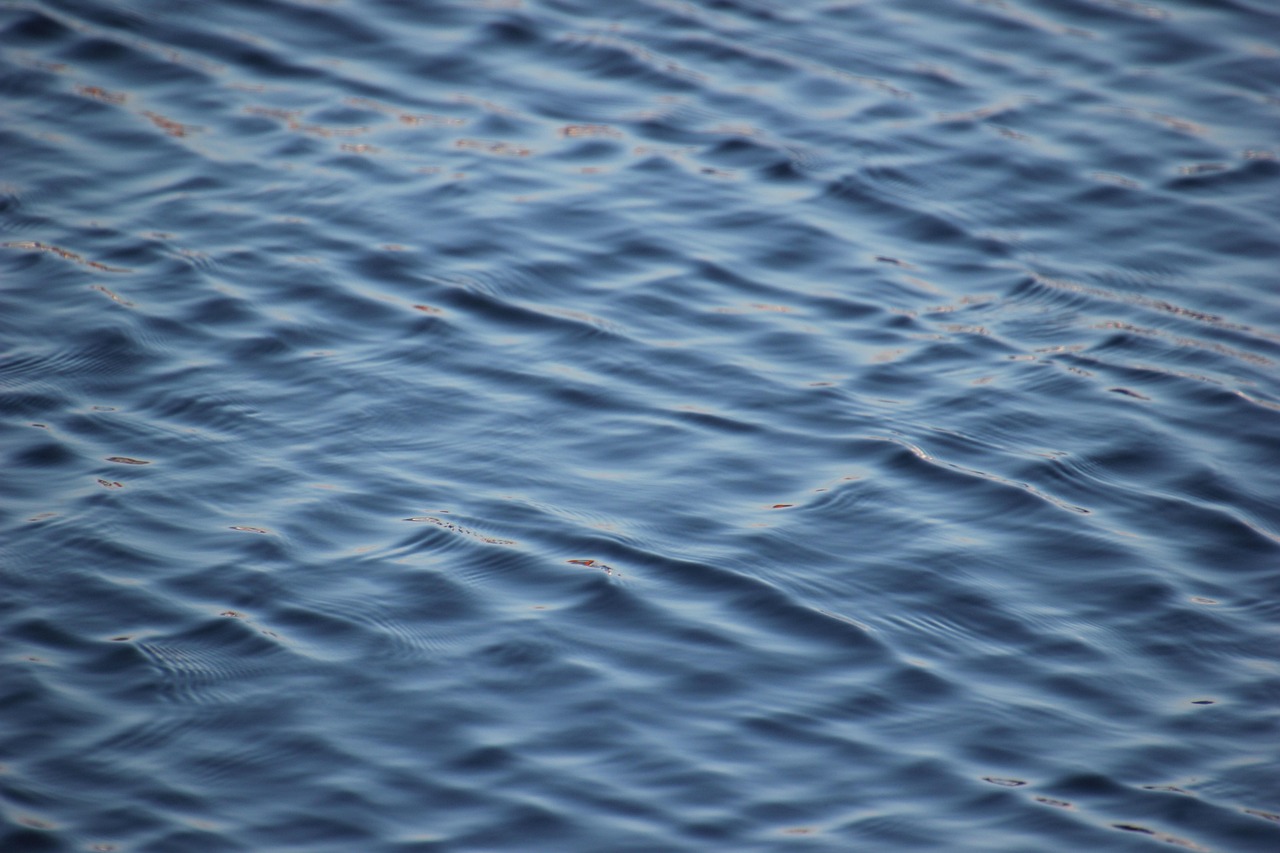 민생회복 소비쿠폰 2차 신청방법