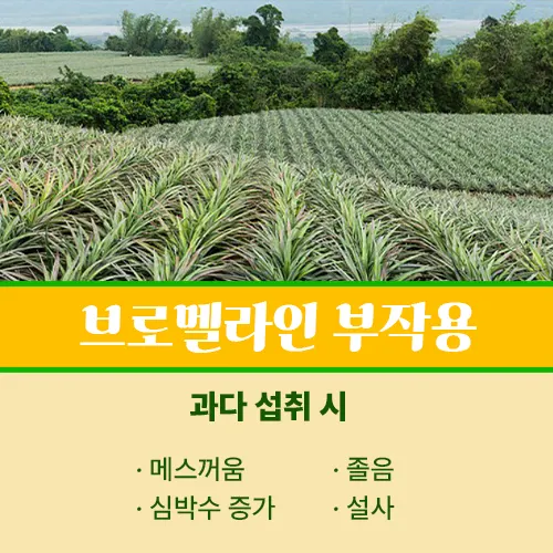 브로멜라인 부작용