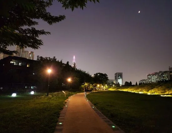 봄밤 산책로 사진