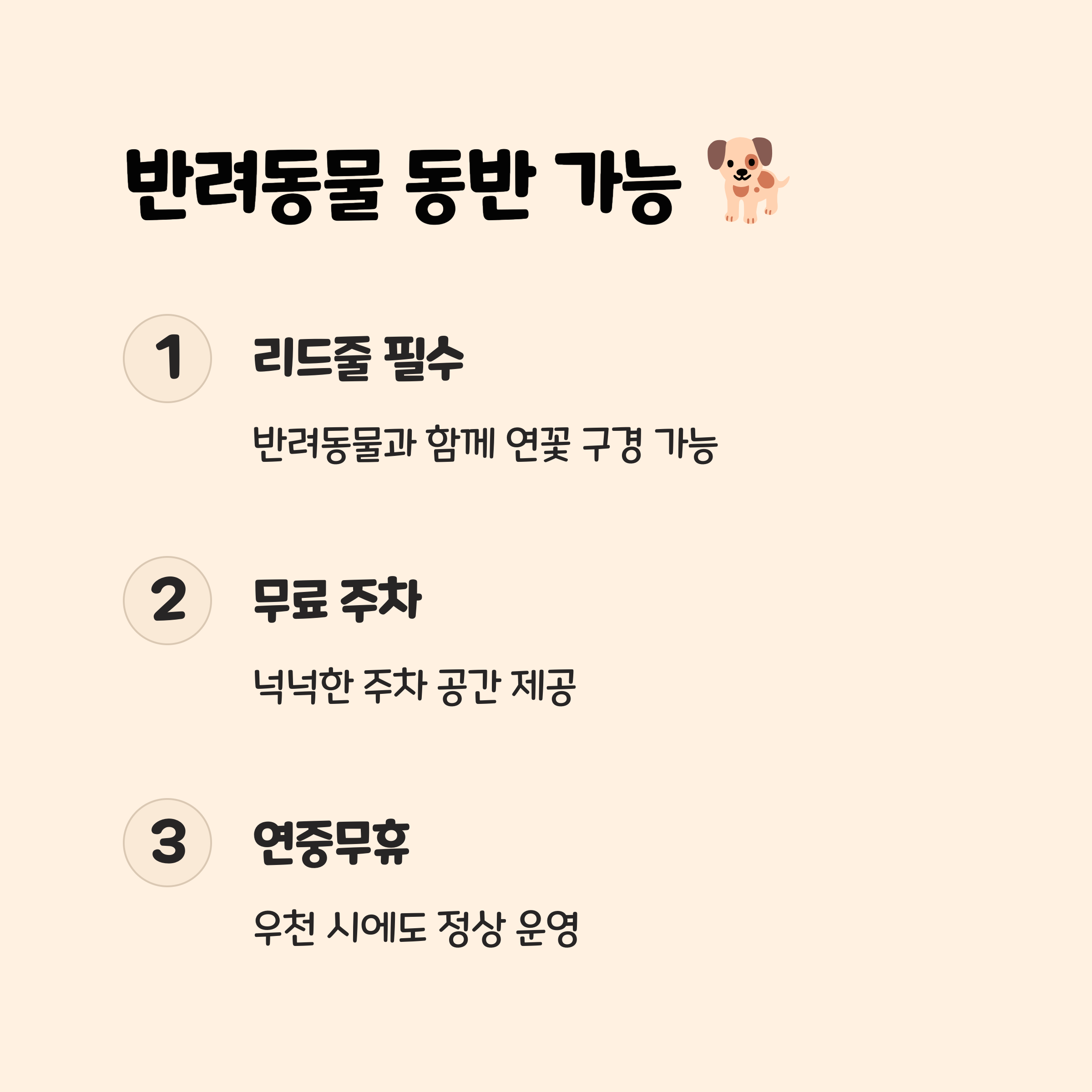 3. 방문 전 꼭 알아야 할 꿀팁! 💡