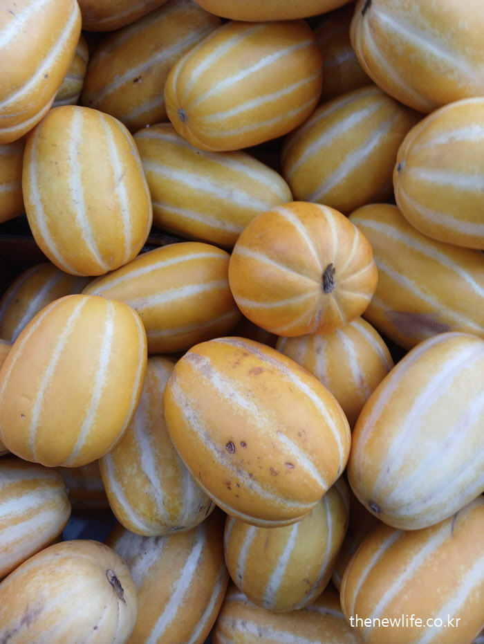 Korean melons with yellow stripes/열사병 예방 음식-갈증 해소에 좋은 참외/열사병과 일사병의 차이 설명 이미지